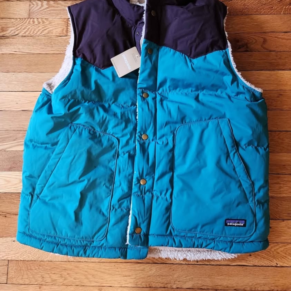 Patagonia Blue and Black Puffer Vest